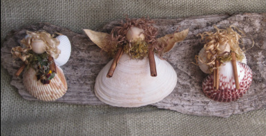 Shell angels on driftwood. Make your own, learn how at www.shellcrafter.com